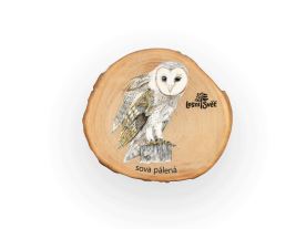 Magnet letokruh - Sova pálená