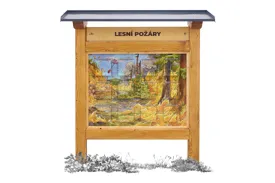 Lesní požáry