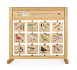 Hlasy ptáků na krmítku - Stolní (1)