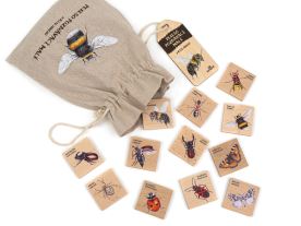 Pexeso poznávací malé - Z říše hmyzu (2)