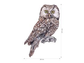 Nažehlovačka L 006 - Sovy (3)