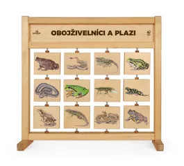 Tabulky poznání stolní - Obojživelníci a plazi