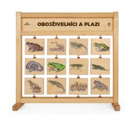 Tabulky poznání stolní - Obojživelníci a plazi