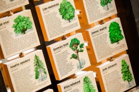 Tabulky poznání (M) (2)