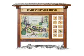 Život v mrtvém dřevě Život v mrtvém dřevě