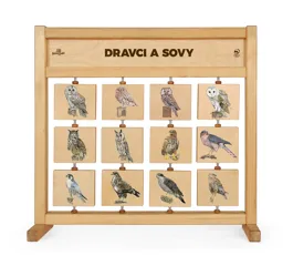 Tabulky poznání stolní - Dravci a sovy