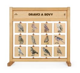 Tabulky poznání stolní - Dravci a sovy