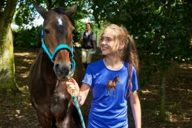 Nažehlovačka M 089 - Kůň hnědý tmavý (4)