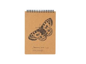 Eko blok z recy papíru M - Jasoň červenooký