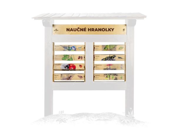 Naučné hranolky