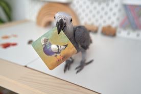 všudyLEPKA vel. 1 -011 - Mix na louce (6)