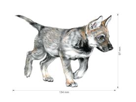 Nažehlovačka L 022 - Vlci (3)