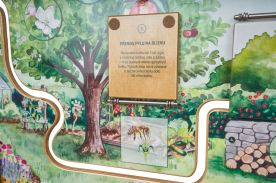 Opylovači naší zahrady (1)