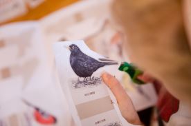 Vystřihovánky - Mláďata (4)