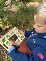 Batůžek Hravého BADATELE - Stromy (3)