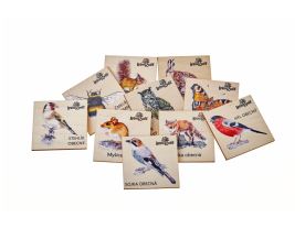 Magnet malý - Stehlík (1)