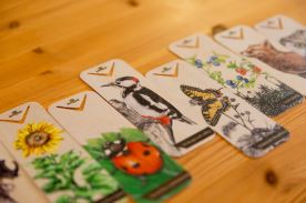 Dřevěná záložka - Lesní plody (2)