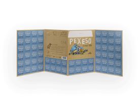 Papírové pexeso - Z ptačí říše (5)