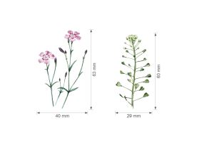 Nažehlovačka L 044 - Luční kvítí 2. (3)