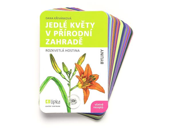 Jedlé květy v přírodní zahradě - Lipka