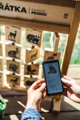 Pexeso zvukové stolní - Ptáci na krmítku (2)