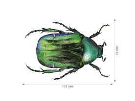Nažehlovačka S 017 - Brouci (4)