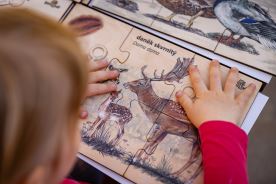 Sada puzzle - Zvířecí rodinky (5)