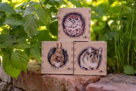 Dřevěný stojánek na tužky - Veverka (2)