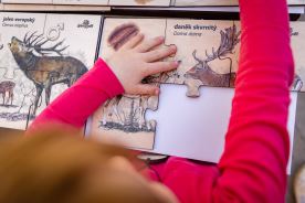 Sada puzzle - Zvířecí rodinky (4)