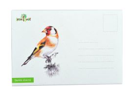 Puzzle do kapsy - Stehlík