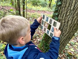 Batůžek Hravého BADATELE - Stromy (2)