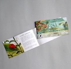 PROMĚNY - Pipasík (5)