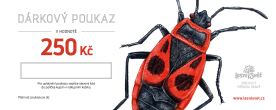Dárkový poukaz 250 Kč