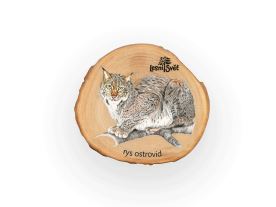 Magnet letokruh - Rys