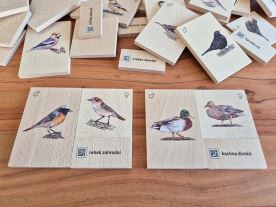 Do trojky - Ptačí páry (4)