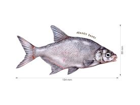 Nažehlovačka L 003 - Ryby (2)