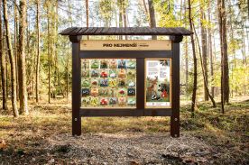 Zvukové pexeso M - Pro nejmenší (3)