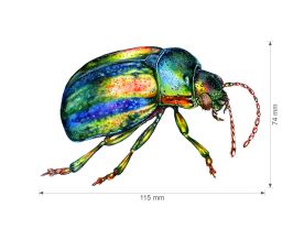 Nažehlovačka S 017 - Brouci (3)
