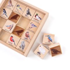 Razítka 16 kusů - Ptáci kolem nás (1)