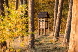 Věž Poznání M (2)