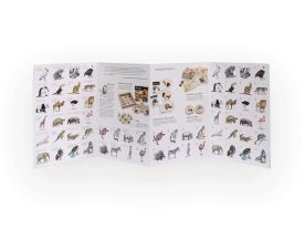 Papírové pexeso - Z exotické říše (4)