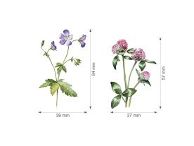 Nažehlovačka M 093 - Luční kvítí 2. (3)