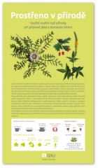 Prostřeno v přírodě - Lipka