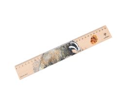 Dřevěné pravítko 30 cm - Jezevec lesní