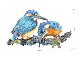 Nažehlovačka M 042 - Ledňáčci (2)