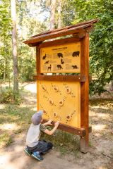 Kukátka - Zvířecí Stopy (1)