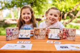 Zvukové pexeso - Volání divočiny (7)