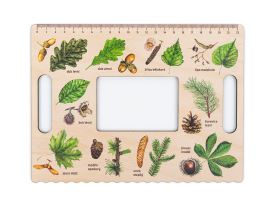 Okénko Hravého BADATELE - Stromy