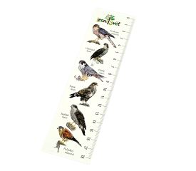 Papírová záložka s měřítkem - Krahujec