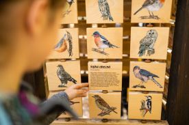 Věž Poznání M (3)